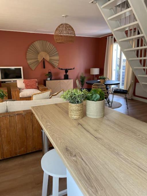 Le Clos Des Bambous Saint-Martin-Lez-Tatinghem